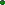 green bullet